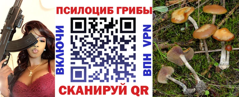 Галлюциногенные грибы прущие грибы  сайты даркнета телеграм  Ивдель 